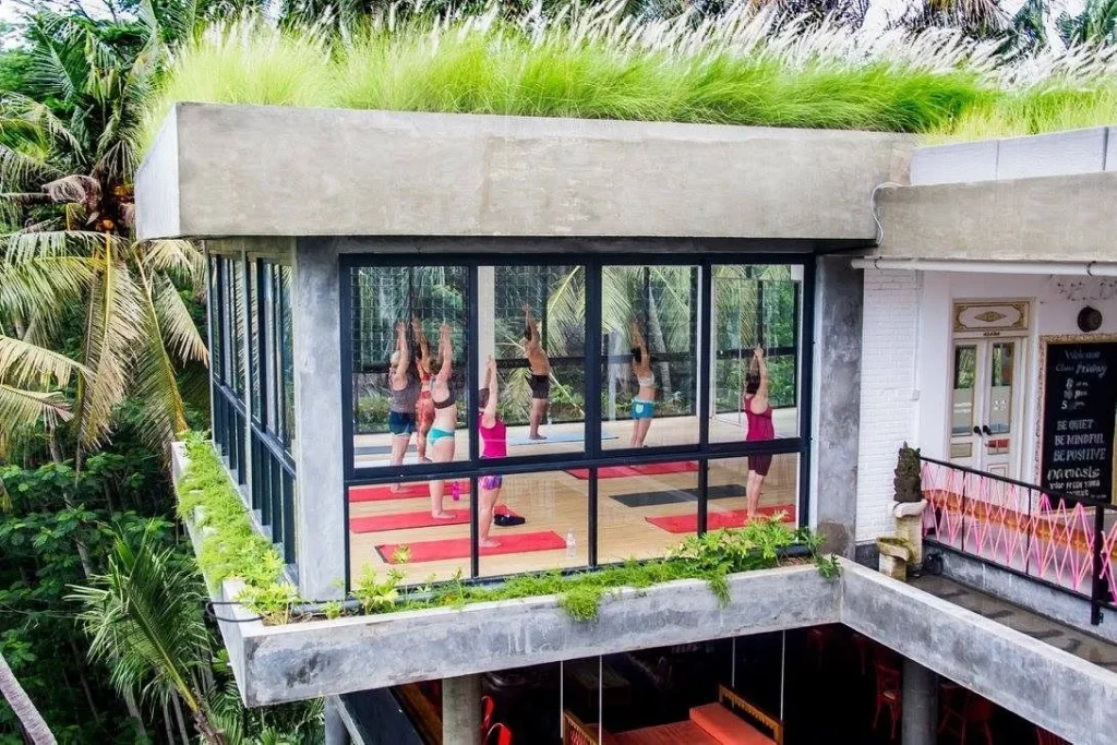 yoga retreats 2024 in ubud