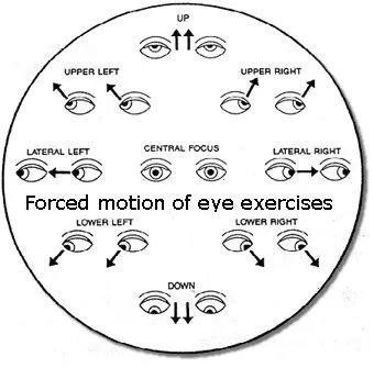 yoga exercises for the eyes