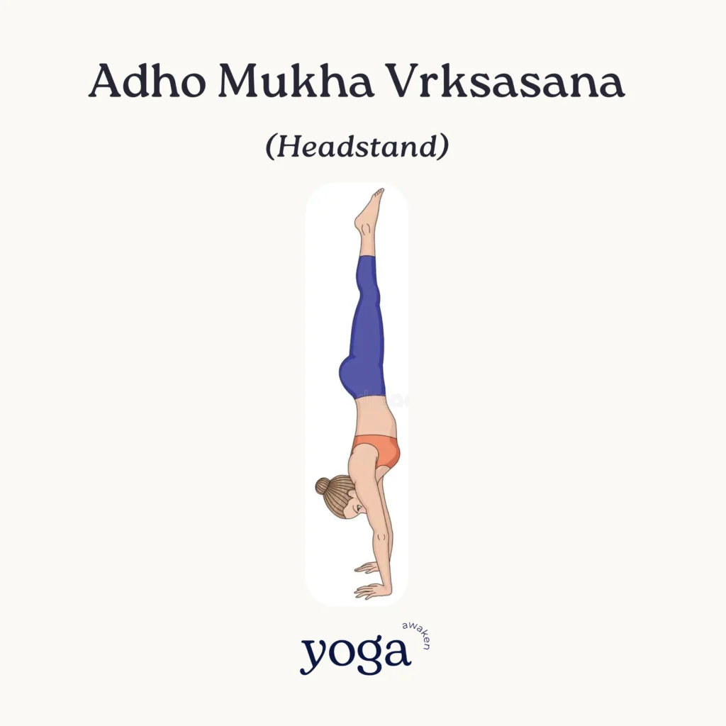 Adho Mukha Vrksasana