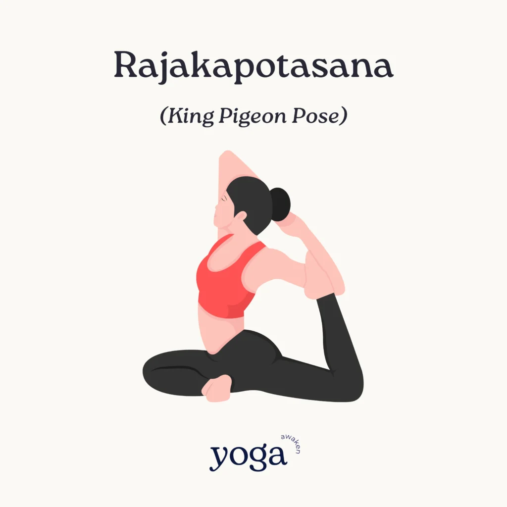 Rajakapotasana