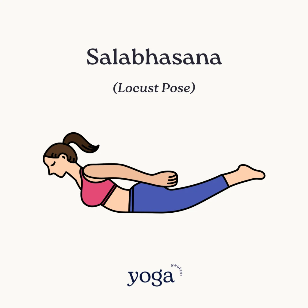 Salabhasana