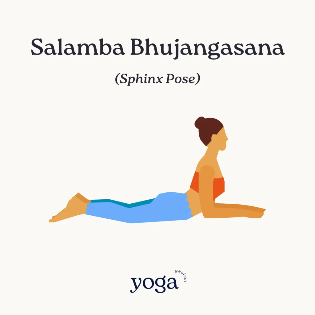 Salamba Bhujangasana