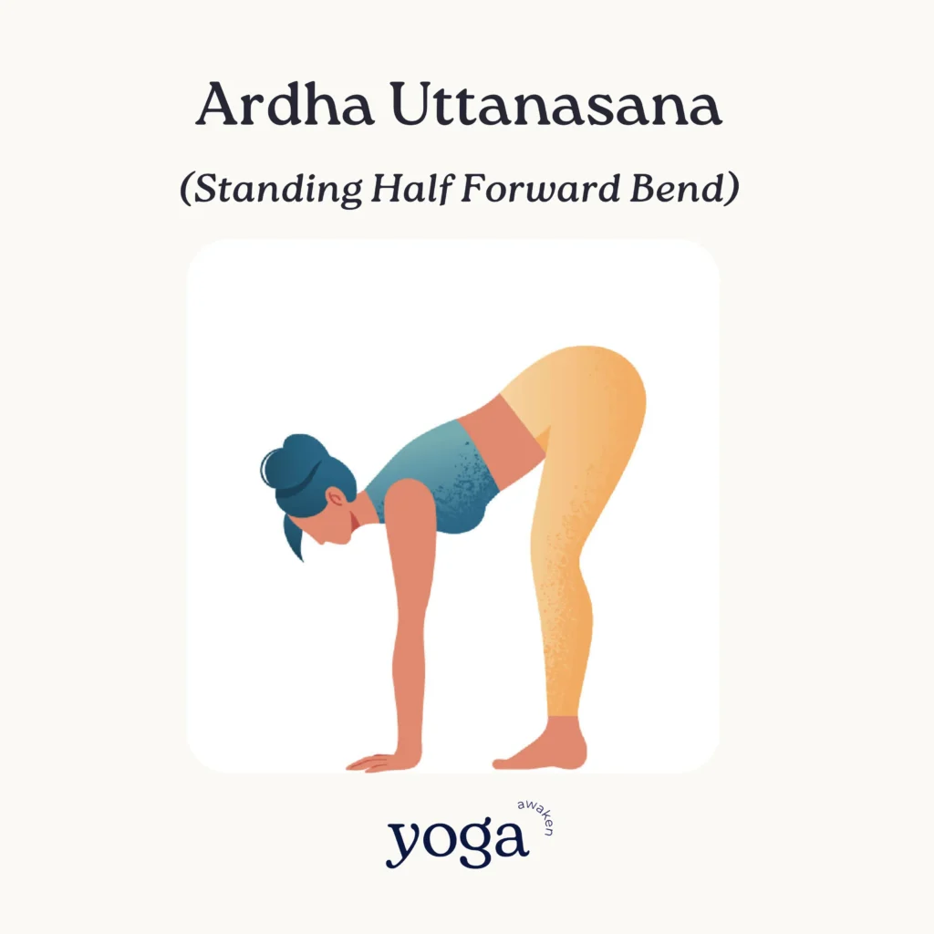 Ardha Uttanasana