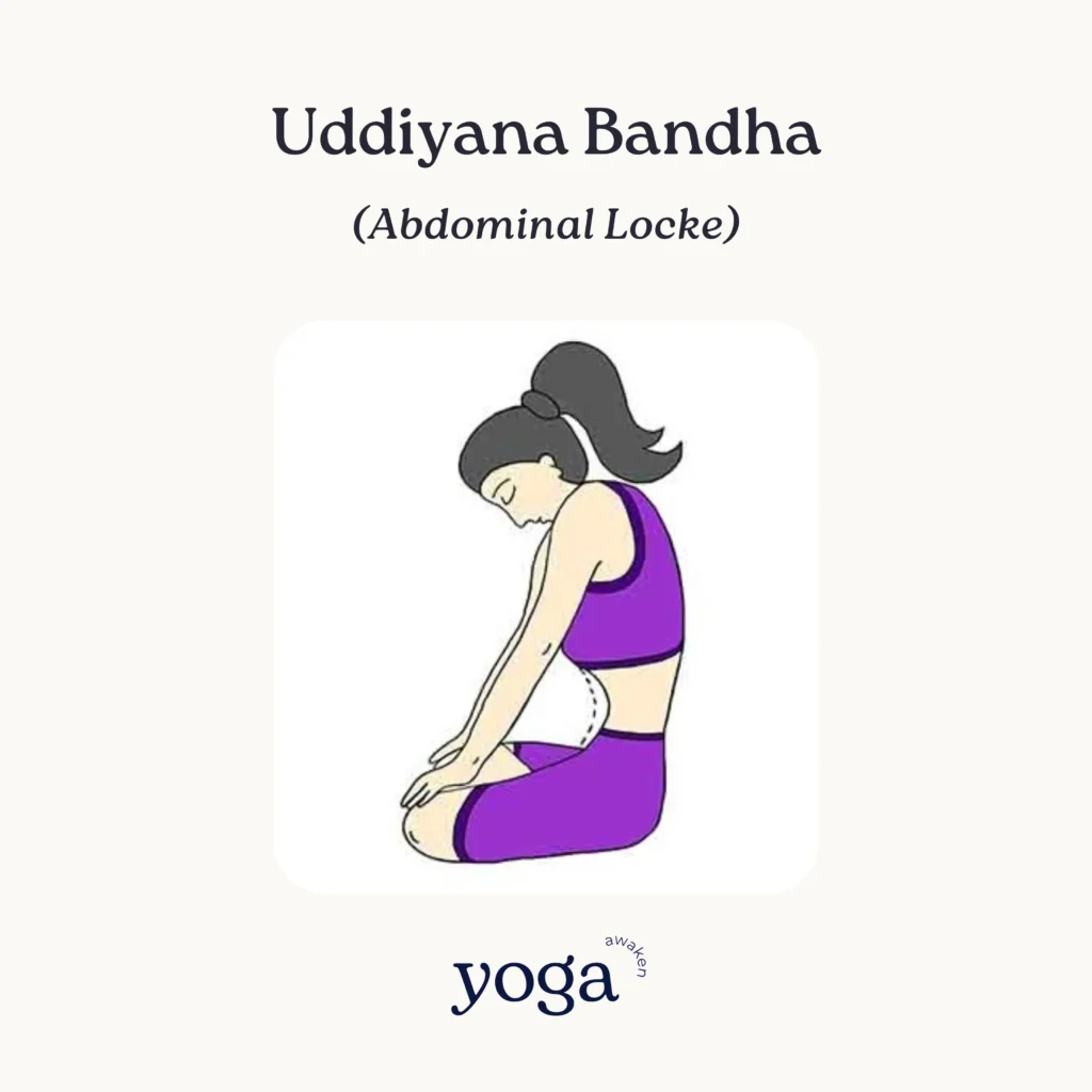 Yoga 101: Master All 84 Yoga Poses and Names (A-Z) | Your Ultimate ...