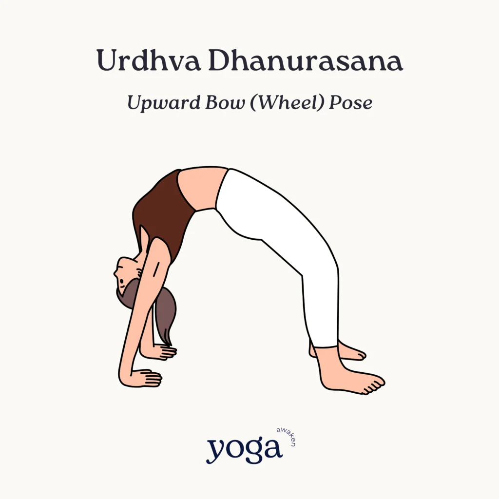 Urdhva Dhanurasana