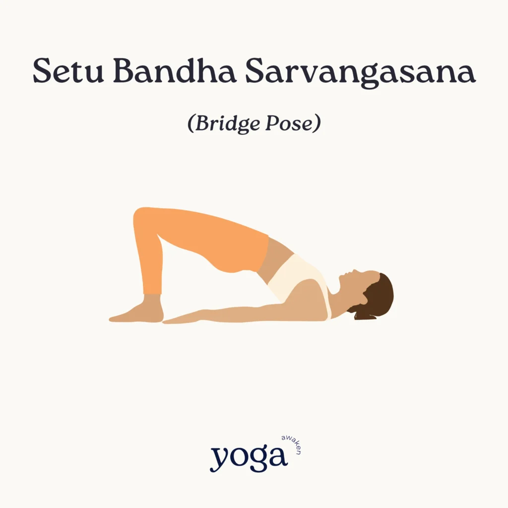 Setu Bandha Sarvangasana