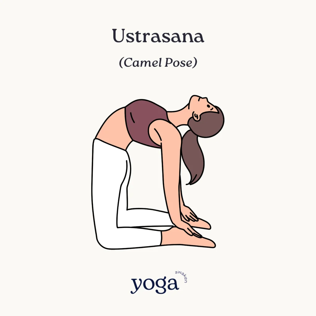 Ustrasana