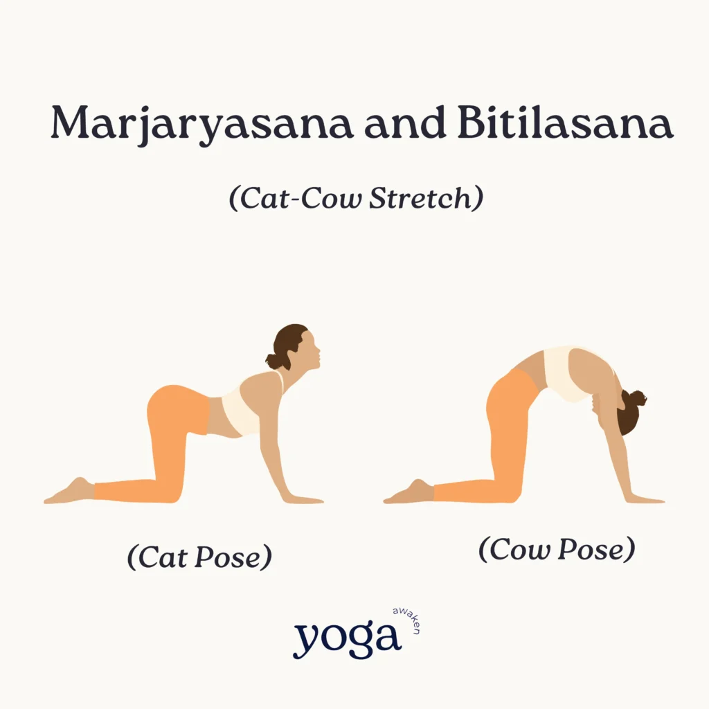 asana yoga