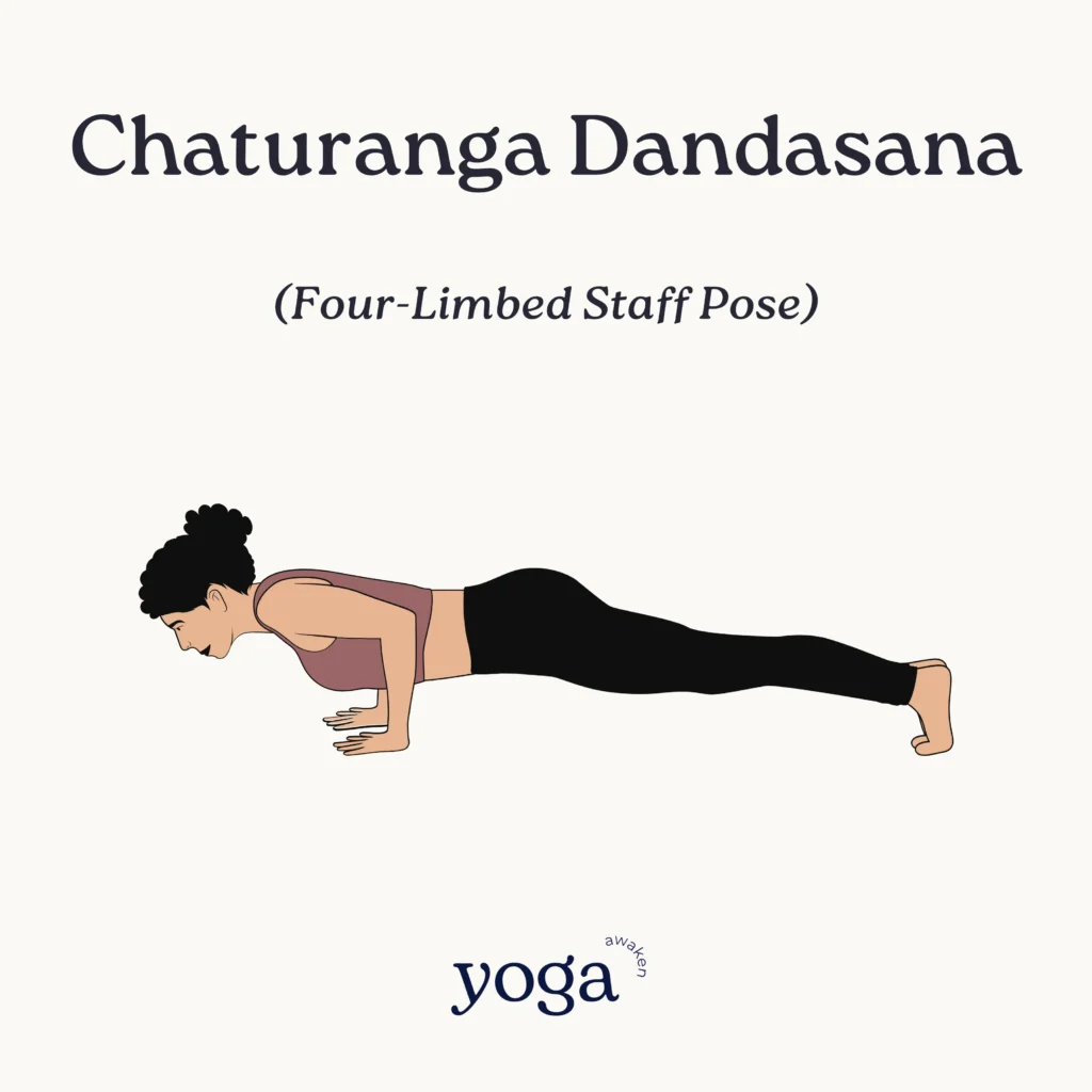 Chaturanga Dandasana