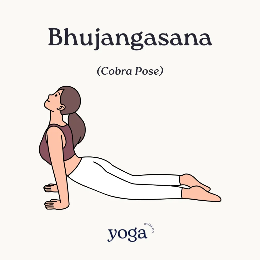 Bhujangasana