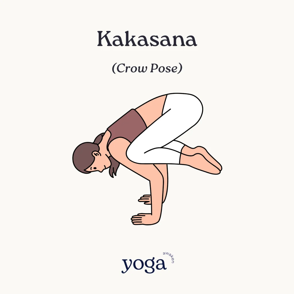 kakasana