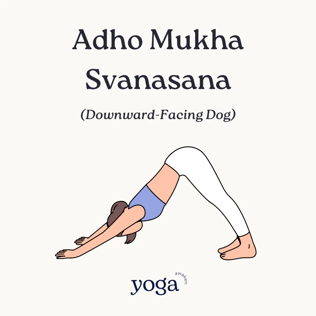 yoga poses for beginners