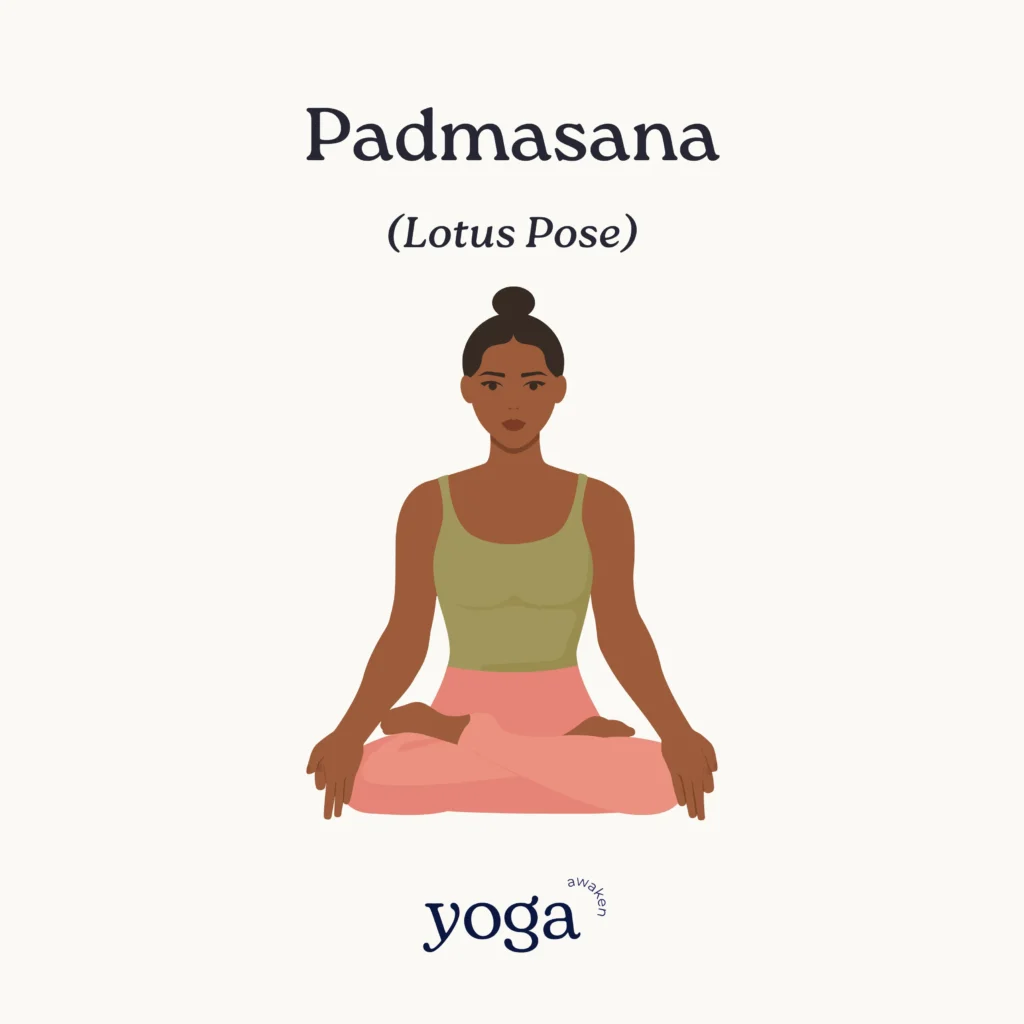 padmasana