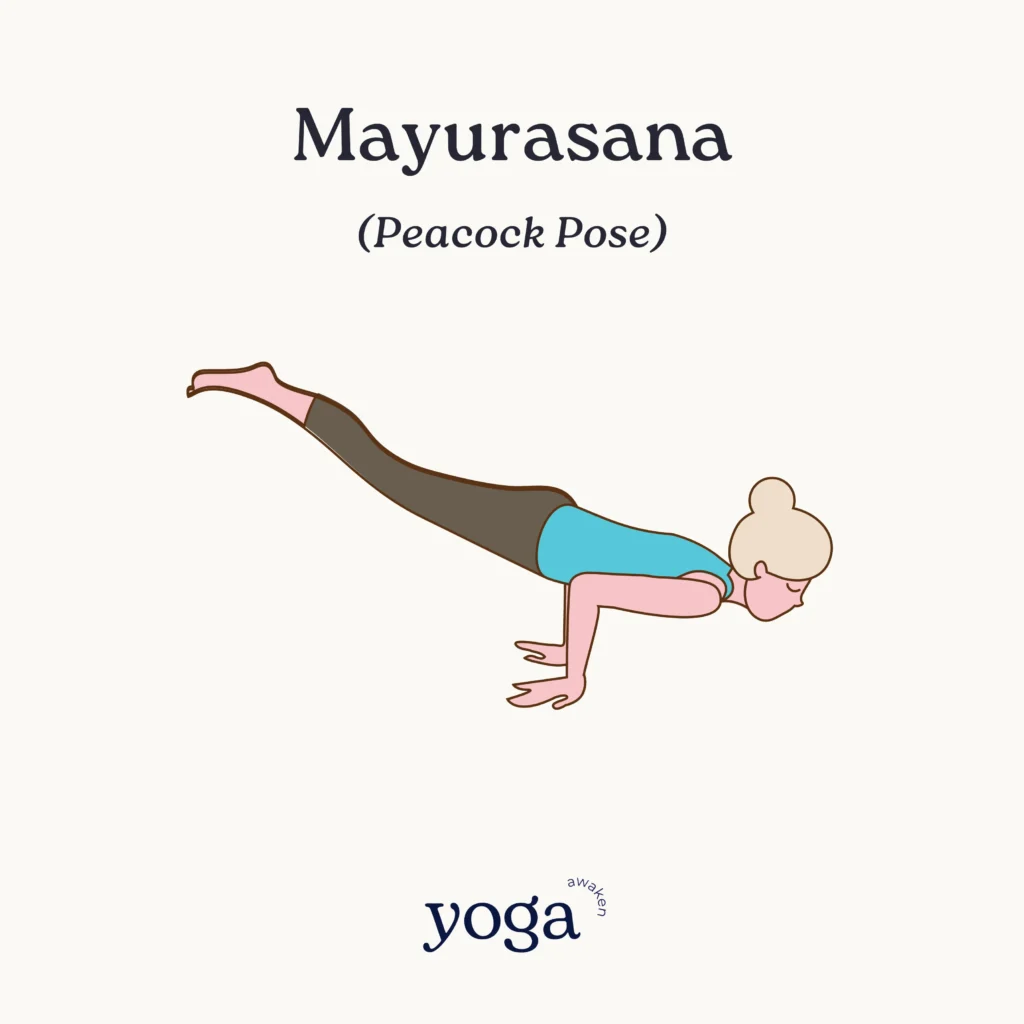 mayurasana