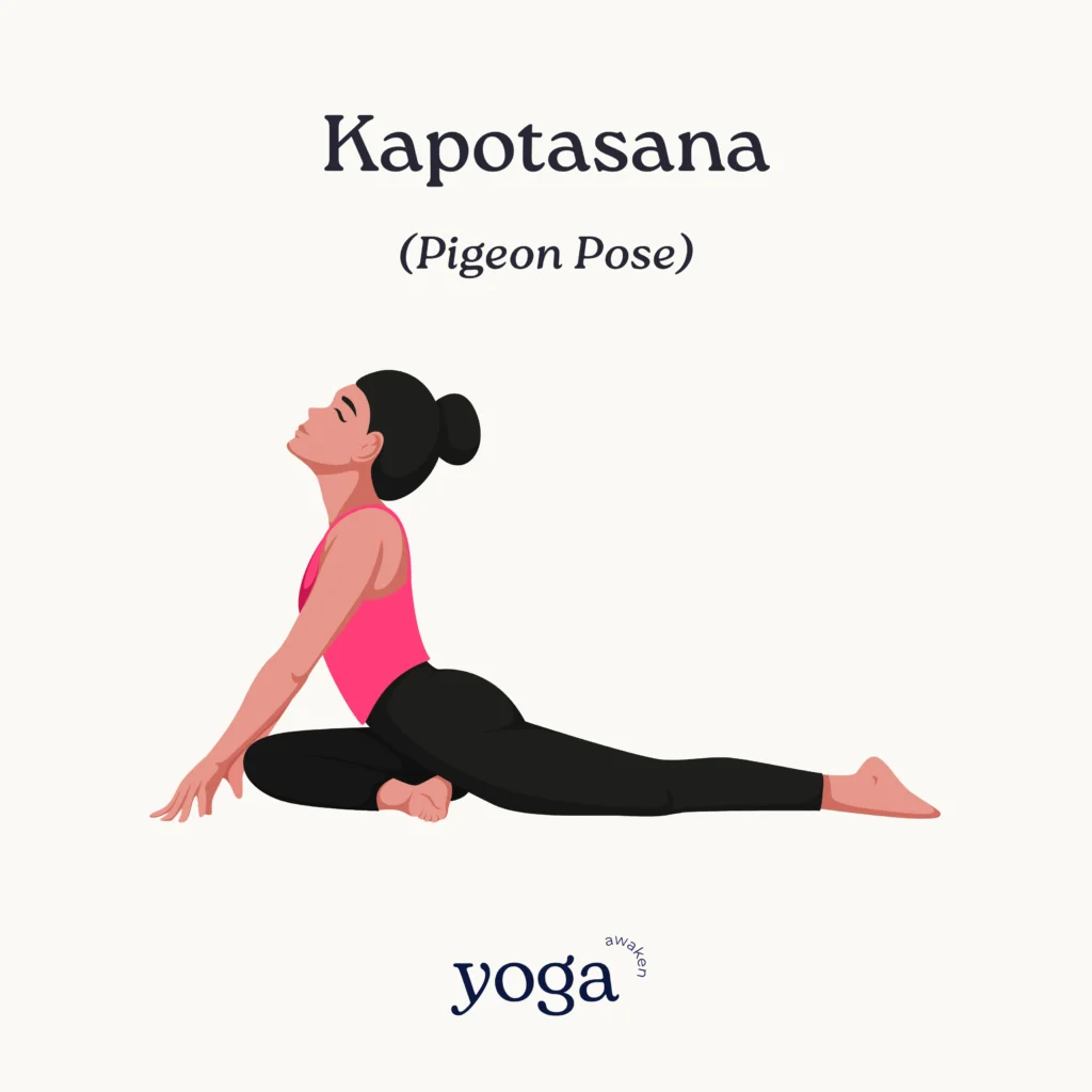 kapotasana