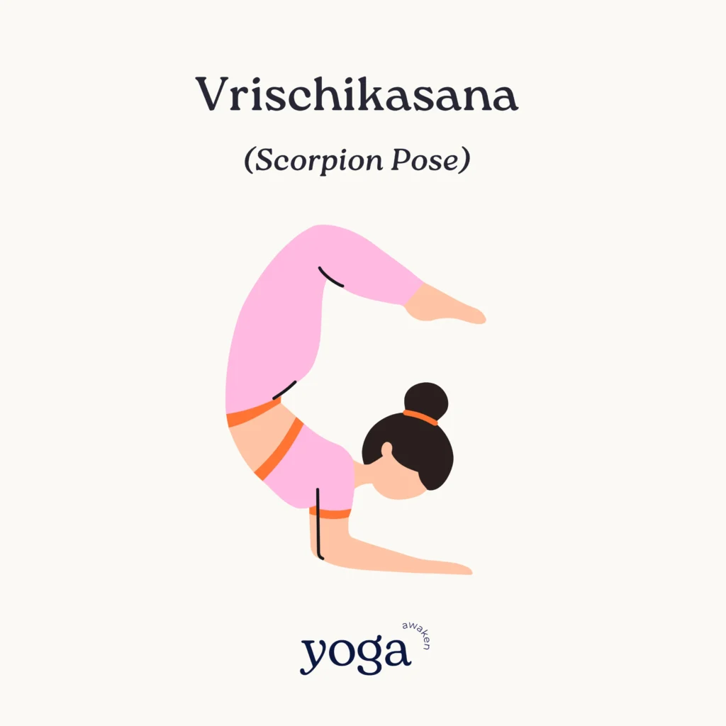 Vrischikasana