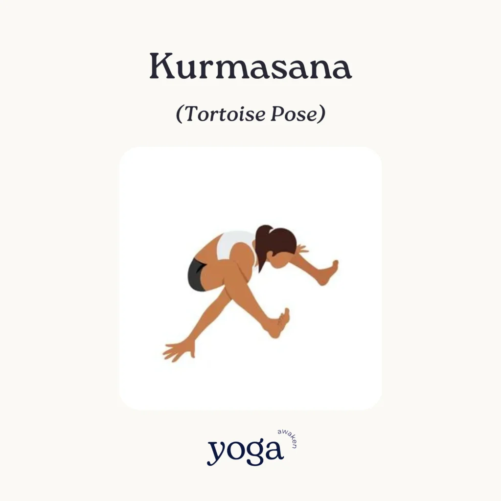 Kurmasana