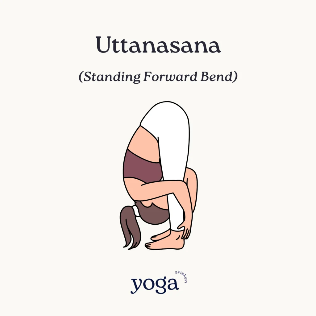 uttanasana