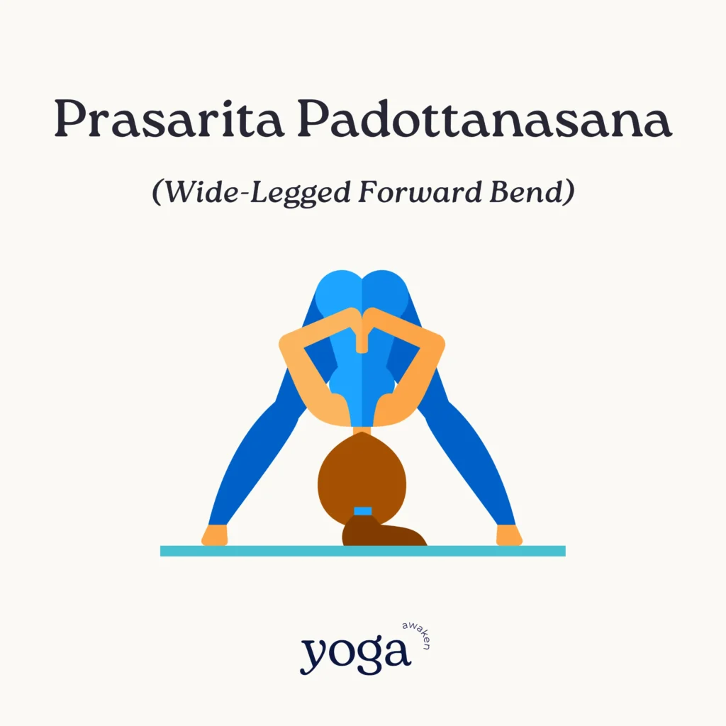 Prasarita Padottanasana